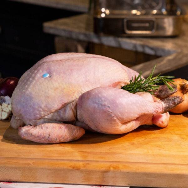 Organic Bronze Turkey