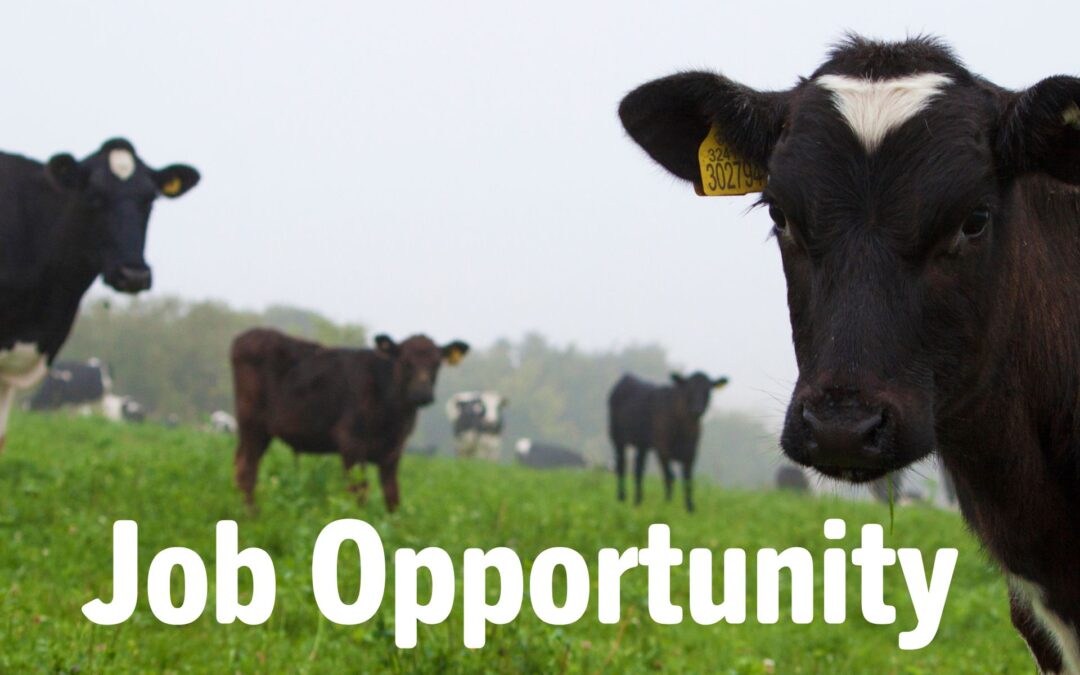 Herd Manager/ Trainee Herd Manager