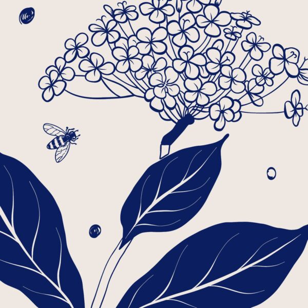Organic Tea Towel
