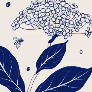 ttowel-shop-elderflower