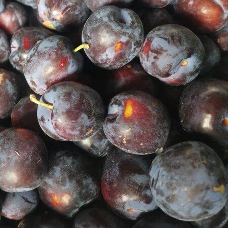 Fresh Fruit